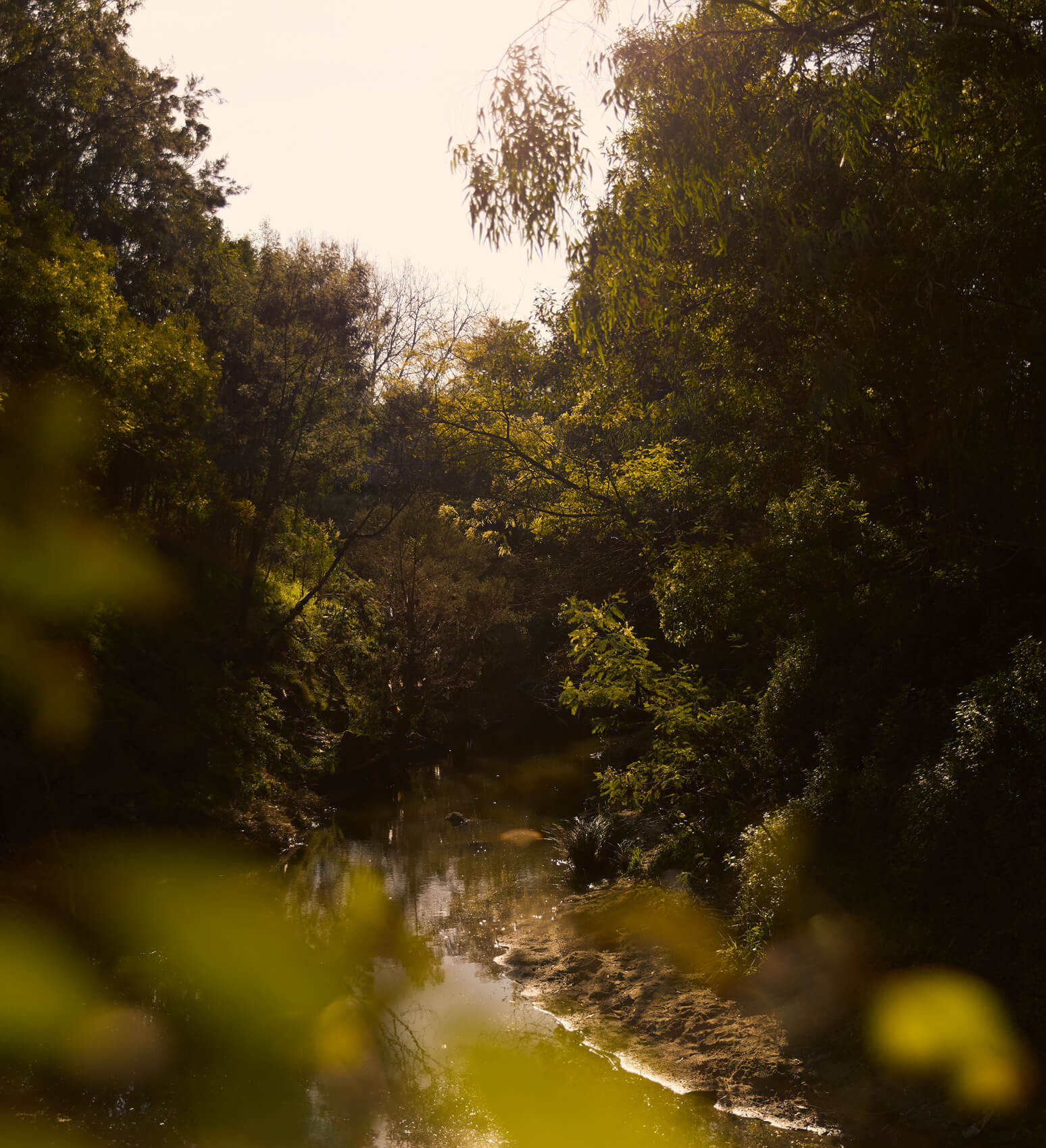 GARDINERS CREEK.