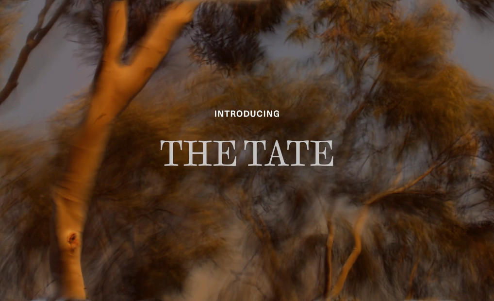 THE TATE FEATURE, IN CONVERSATION WITH WOODS BAGOT.